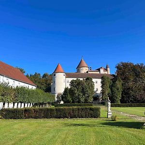 Charming Castle In Austria Vila Schwertberg Exterior photo