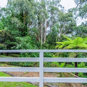 Blissful Bushland Retreat Vila Warburton Exterior photo