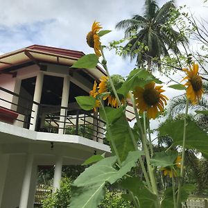 Vinsri Transit Home , Narammala, Kadahapola Exterior photo