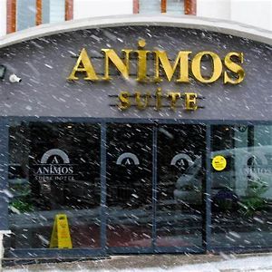 Animos Butik Otel Ancara Exterior photo