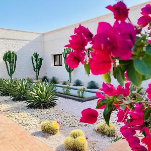 Le Clos De La Roussiere Acomodação com café da manhã Essaouira Exterior photo