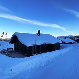 Modern Och Bekvaem Hytte Naera Gaustatoppen, 3 Sovrum 9 Baeddar Vila Gaustablikk Exterior photo