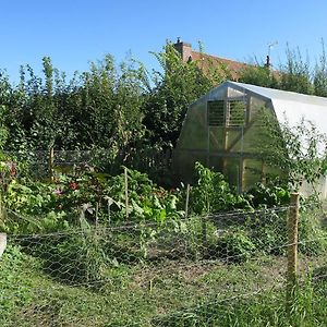 Les Jardins D'Olus Vila Wandignies-Hamage Exterior photo