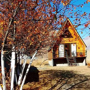 Thomas' Hut Apartamento Kazbegi Exterior photo