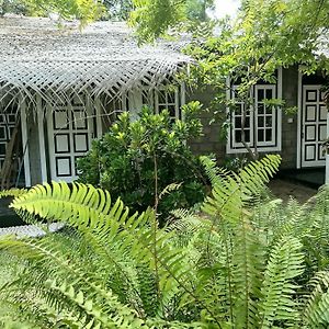 Werala Beach Resort Kalpitiya Exterior photo