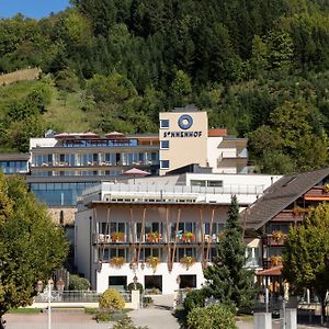 Sonnenhof Hotel & Spa Lautenbach Exterior photo