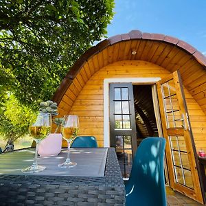 The Gold Pod, Relax And Enjoy On A Glamping House Casa de hóspedes Corredoura Exterior photo