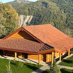 Karpaty Vila Yaremche Exterior photo