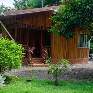 Natural Harmony Cabin Apartamento Puerto Jiménez Exterior photo