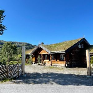 Solsetra - Mountain Majesty Family Log Cabin Vila Hovden  Exterior photo