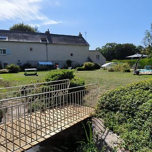 Le Gite Des Choiseaux, Piscine Et Parc Au Coeur De La Nature Vila Suèvres Exterior photo