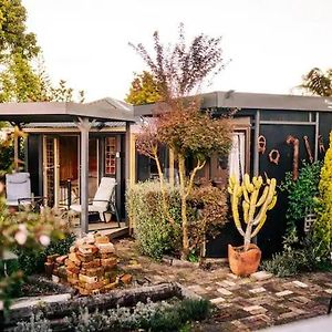 Starry Nights Cabin Fever Vila Waikino Exterior photo