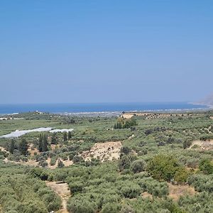 Villa Kamelia-Renovated Old House-South Crete Galia Exterior photo