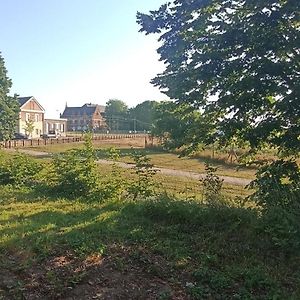 Superbe Studio Cosy Spacieux Au Rez De Chaussee Apartamento Denain Exterior photo