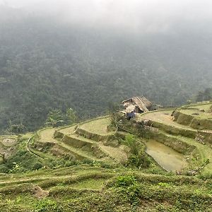 Bikki Jungle Homestay Ha Giang Exterior photo