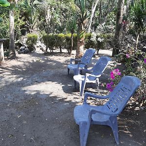 Playa Casa Nohelia Apartamento Santo Domingo Exterior photo