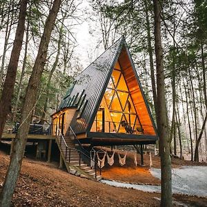 Dunlap Hollow A-Frame Vila Rockbridge Exterior photo