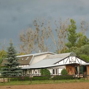 Studio Dwupoziomowe Agroturystyka- Dorado-Puszcza Kampinoska Leoncin Exterior photo