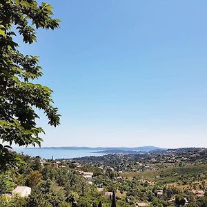 Le Petit Bonheur - Location De Vacances Roquebrune-sur-Argens Exterior photo