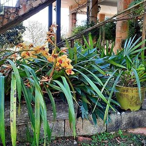 Pousada Canto Das Corujas São Roque Exterior photo