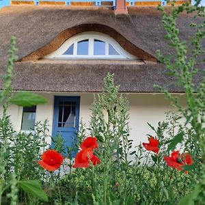 Reetsnacker - Ferienhaus Mit Kamin, Sauna Und Whirpool Fuer 8 Personen Vila Pepelow Exterior photo