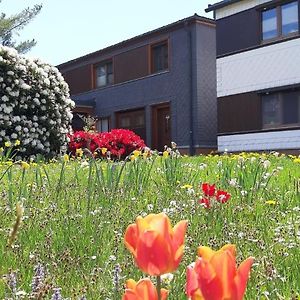 Ferienwohnung Mit Gartenterrasse In Der Naehe Vieler Wanderwege Und Ausflugsziele Oberweißbach Exterior photo