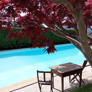 Chambre D'Hote Dans Mas Proche Anduze Cevennes Avec Piscine Acomodação com café da manhã Mialet  Exterior photo