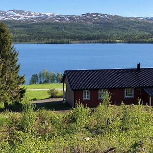 Nyrestaurert Og Koselig Hytte Ved Skjelbredvatnet. Vila Sandvika  Exterior photo