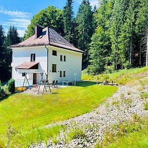 Ferienhaus Lebenskraft Vila Pfaffetschlag Exterior photo