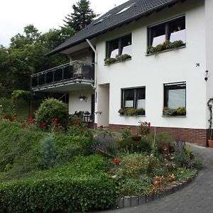 Auf Dem Kleeberg Apartamento Niederzissen Exterior photo