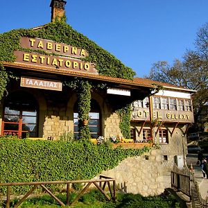 Hotel Galaxias Metsovo Exterior photo