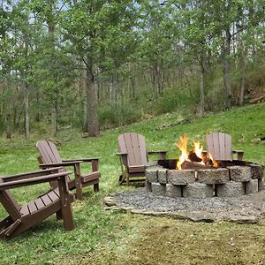 Creekside Cabin W Hot Tub, Fire Pit, Grill, Wifi! Vila Basye Exterior photo