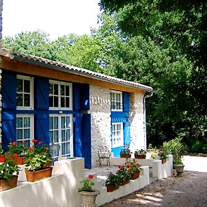 Le Clos Sainte Marie - Lampy Vila Cenne-Monesties Exterior photo