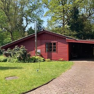 Ferienhaus Kleines Meisenhaus Wing100 Im Naturpark Wingst Vila Exterior photo