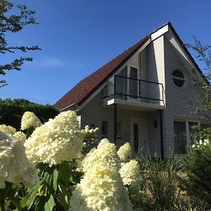 Heerlijk Vakantiehuis Bij Zwembad En Golfbaan Vila Delden Exterior photo