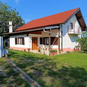 Family Friendly House With A Swimming Pool Hrascina, Zagorje - 22223 Vila Exterior photo