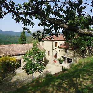 Agriturismo I Monti Di Salecchio Vila Palazzuolo Sul Senio Exterior photo