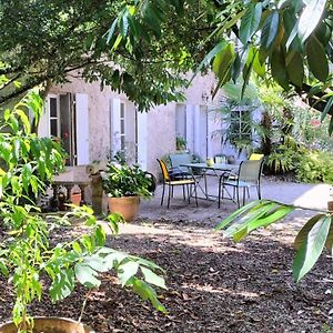 Gite Cosy Avec Jardin Clos, Terrasse Et Piscine A Proximite, Ideal Pour Famille Et Detente - Fr-1-653-254 Vila Châteauneuf-sur-Charente Exterior photo