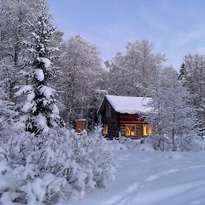 Gemuetliche Blockhuette Mit Aussentoilette Und Badezimmer Im Haupthaus Vila Jorn Exterior photo