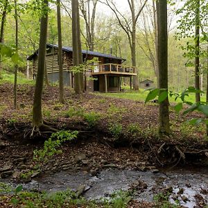 Secluded Naples Cabin With Deck And Stream Views Vila Exterior photo