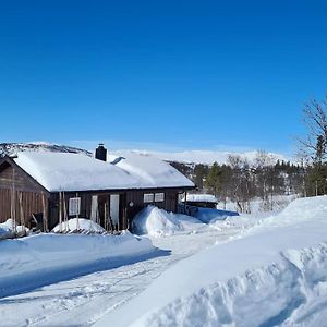 Hytte I Naturskjonne Javnlie Vila Skammestein Exterior photo