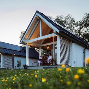 Tiny House - Optioneel Met Hottub Apartamento Dokkum Room photo