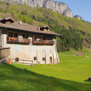 Tirol In Balin - La Stua Apartamento Fiavè Exterior photo