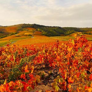 Le Panoramic Chiroubles Beaujolais Vila Exterior photo