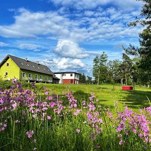 Penzion Kozí zámek Apartamento Horažďovice Exterior photo