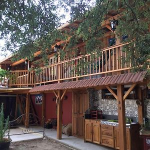 Casacoquelicot Un Jardin Sud-Americain En Provence Gaujac  Exterior photo