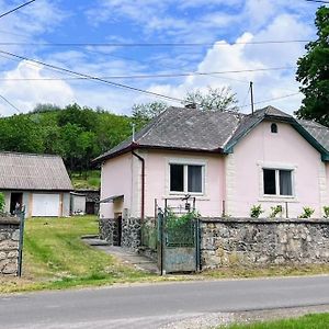 Vakantiehuis Vendeghaz Sylvatica Vila Bukkszentmarton Exterior photo