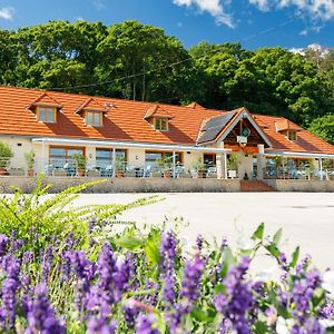 Lepke Apartmanház és Étterem Hotel Tihany Exterior photo