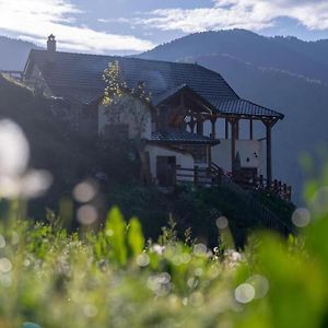 Alpin Zeneli Chalet Vila Cerem Exterior photo