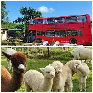 Double Decker Bus On An Alpaca Farm Sleeps 8, 5 Mins Drive To Dartmoor Vila Bovey Tracey Exterior photo